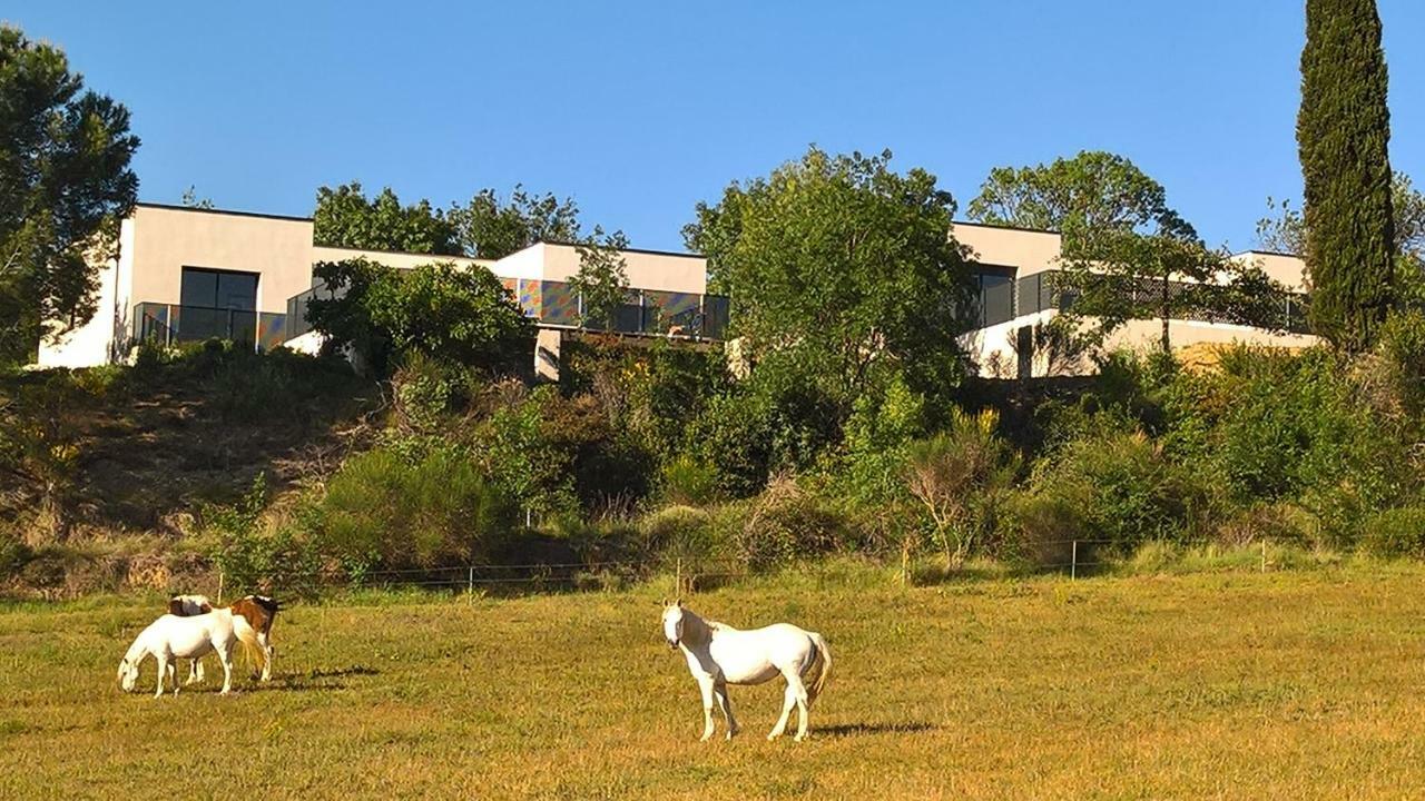 Villa Piscine Sud France Verzeille 外观 照片
